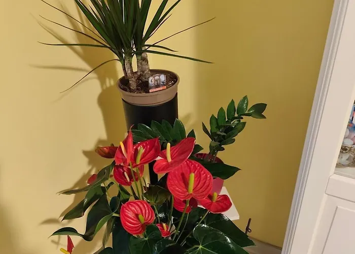 -the Magic Of Rome- Semicentrale Pigneto Apartment Rom
